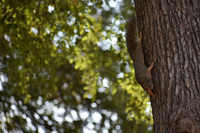 盧頓因球場升級工作推遲主場首戰.