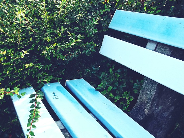 逐渐成为国 逐渐成为国