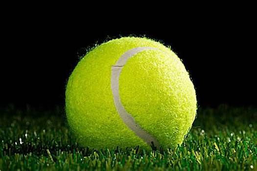 不仅在羽坛 不仅在羽坛